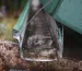 When to replace gutters on your home